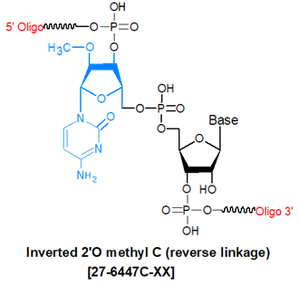 picture of Inverted 2'O methyl C (reverse linkage)